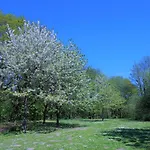 Panoramic App A07-6 *
